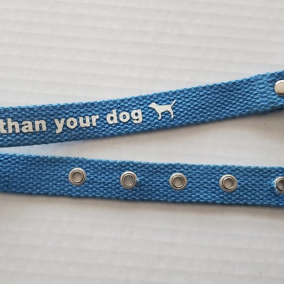 PINK Victoria's Secret Other - HTF Victoria Secret Pink RARE Dog Collar Vintage 2000's Aqua Blue Sooo Pretty